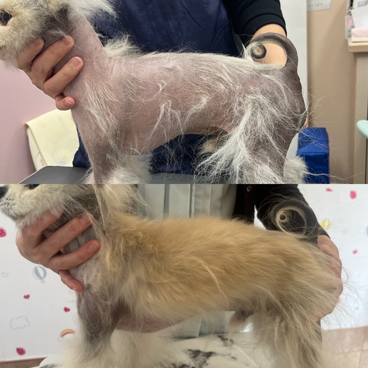 皮膚科診療①